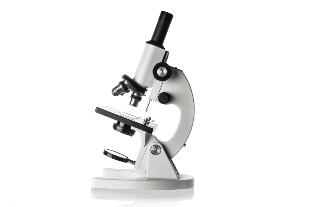 labor hamwi mikroskopie v1